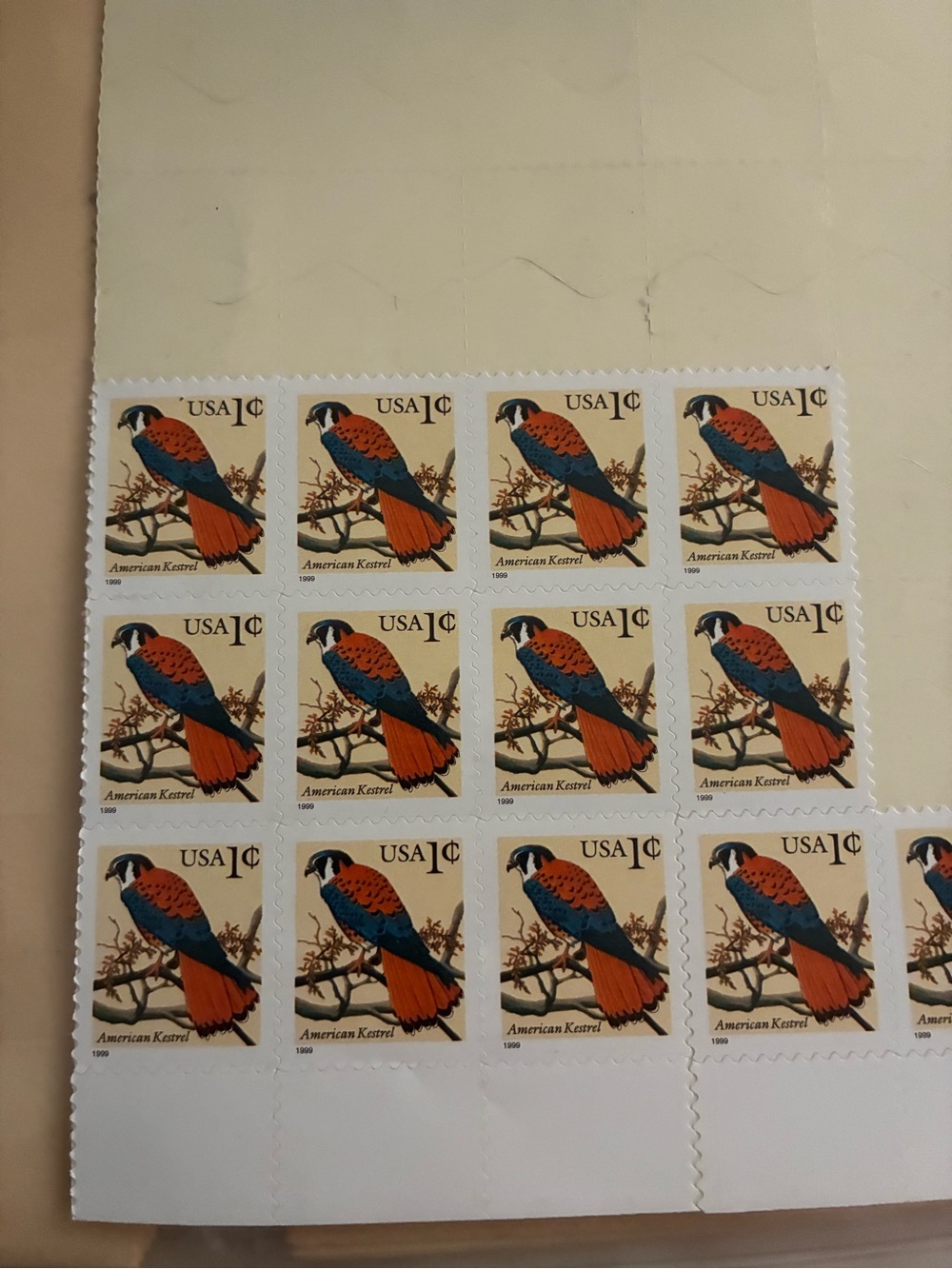 American Kestrel Collectible Stamp Sheet - Orange & Blue